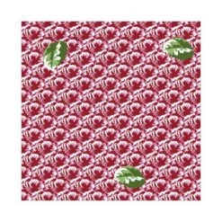 OUVRE&DECO Papier Peint Intissé Décoration RED PIVOINE